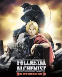 full-metal-alchemists-brotherhood